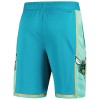 Muške NBA Charlotte Hornets Kratke hlače Jordan 2023-24 City Edition Teal Swingman